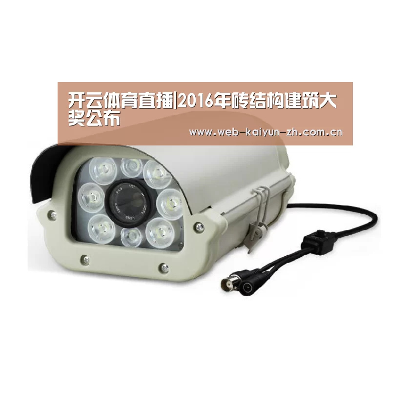 开云赛事
