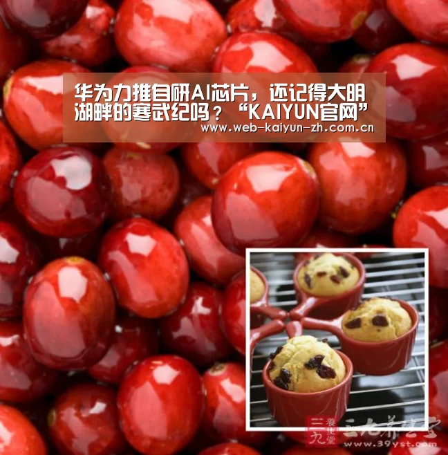 开云体育直播