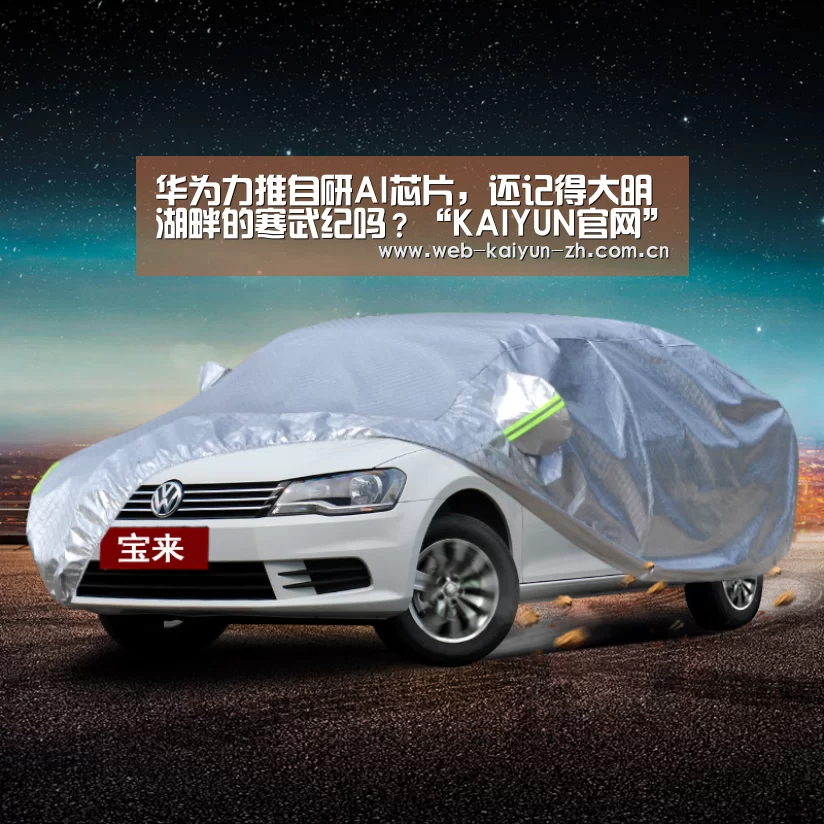 开云体育直播