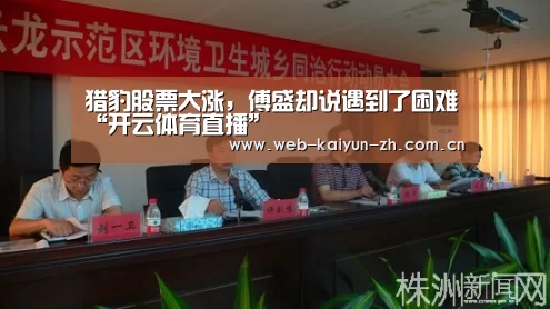 猎豹股票大涨,傅盛却说遇到了困难“开云体育直播”(图3) 开云体育直播