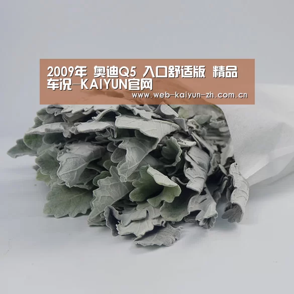 开云赛事