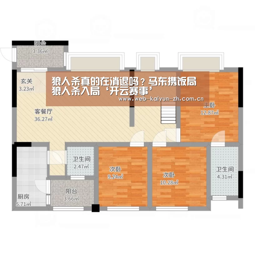 开云体育直播