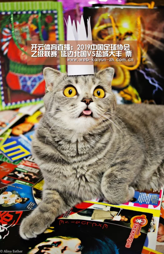KAIYUN官网