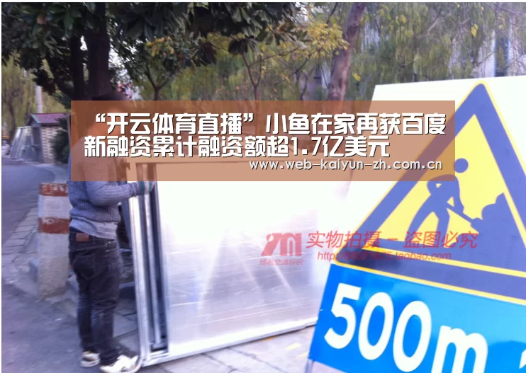 “开云体育直播”小鱼在家再获百度新融资累计融资额超1.7亿美元(图2) 开云赛事