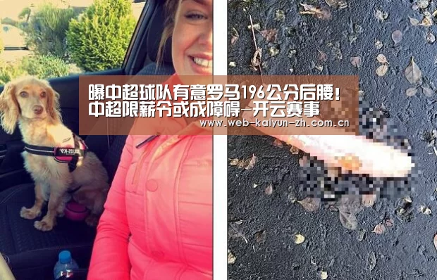 开云体育直播