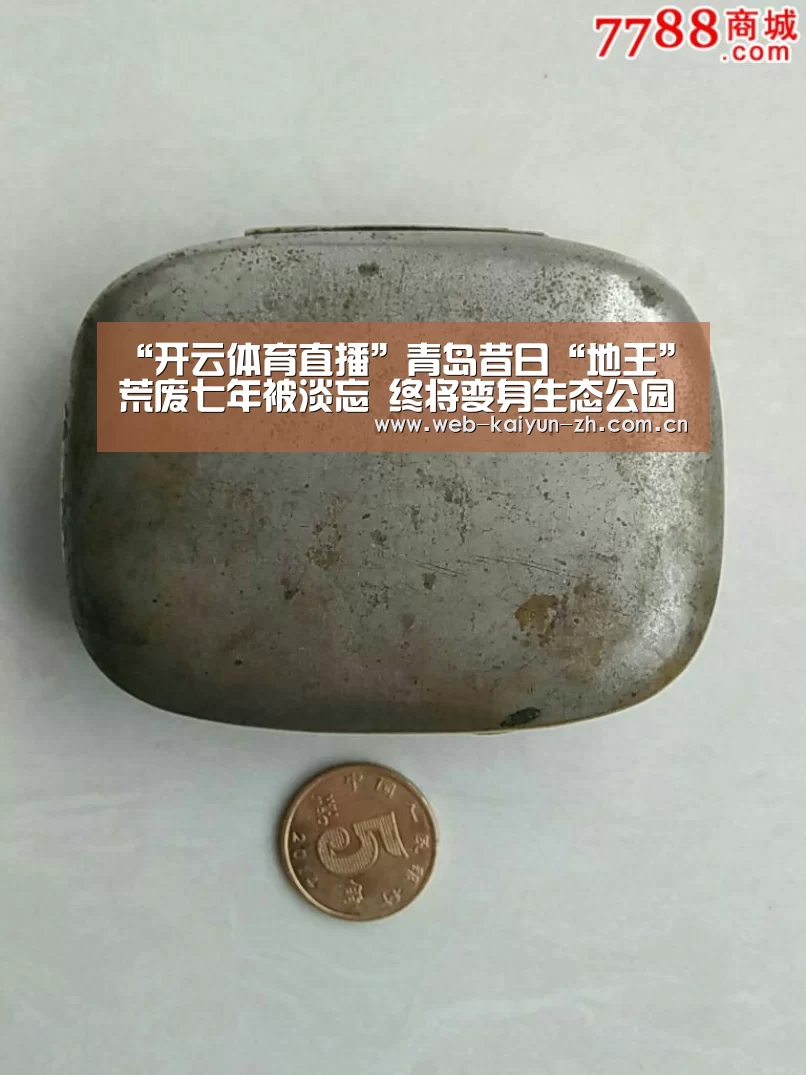 开云体育直播
