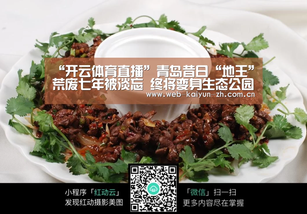 开云体育直播