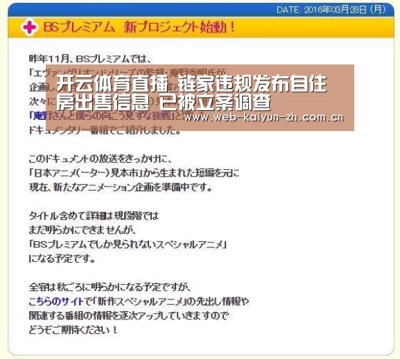 开云赛事