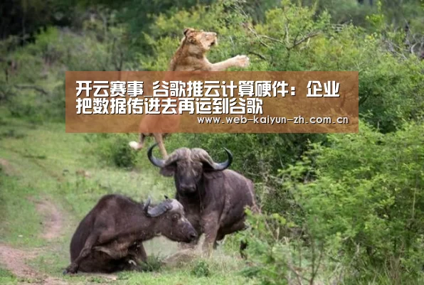 开云赛事