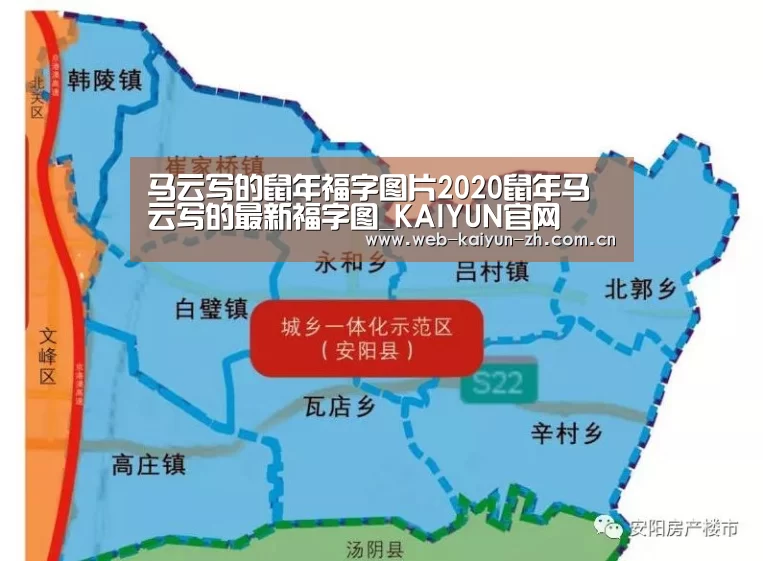 开云体育直播