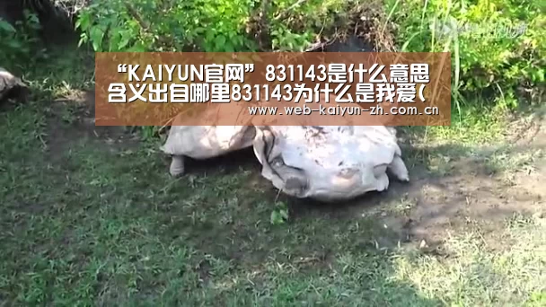 开云体育直播